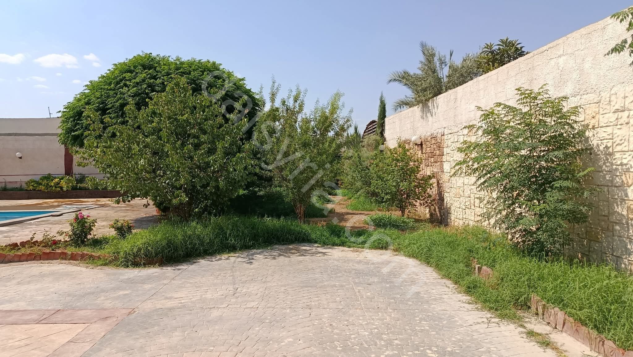 للبيع مزرعة1300م في زبدين