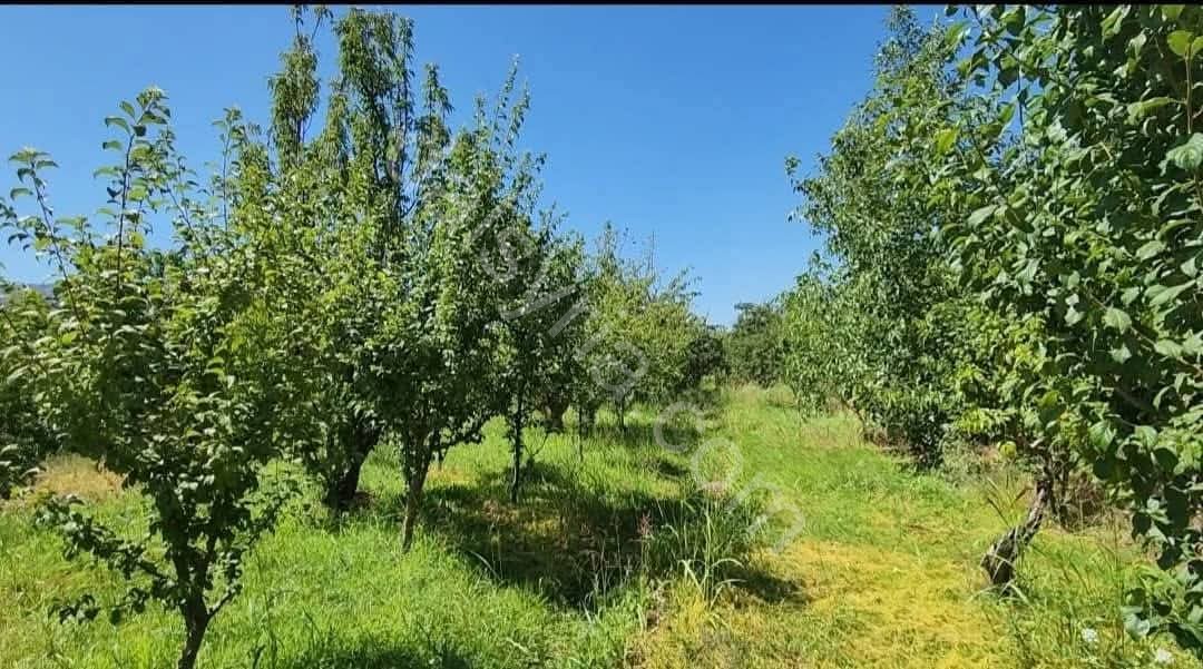 للبيع ارض 500 م في الزبداني