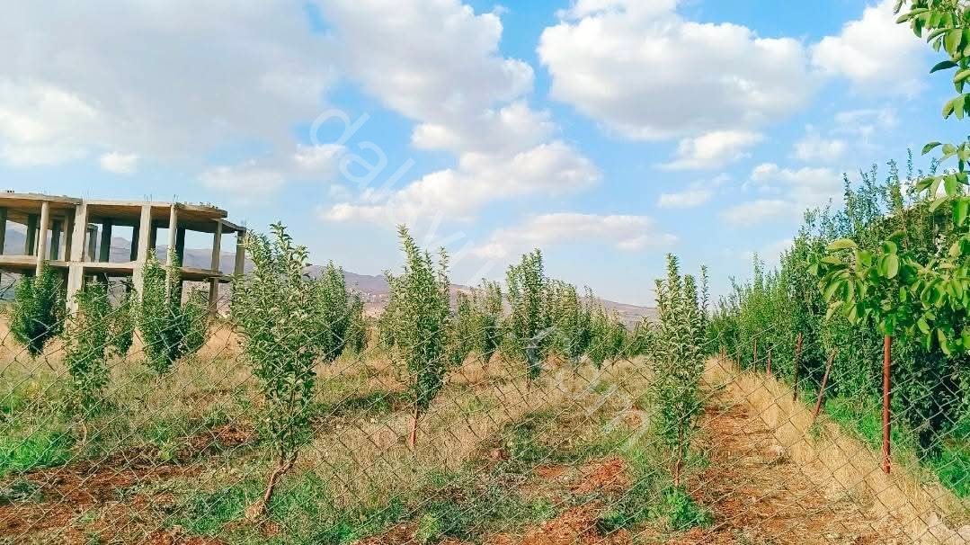 للبيع ارض 4300 م في سهل مضايا