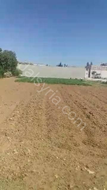 للبيع ارض 2100 م في اتوستراد صحنايا 