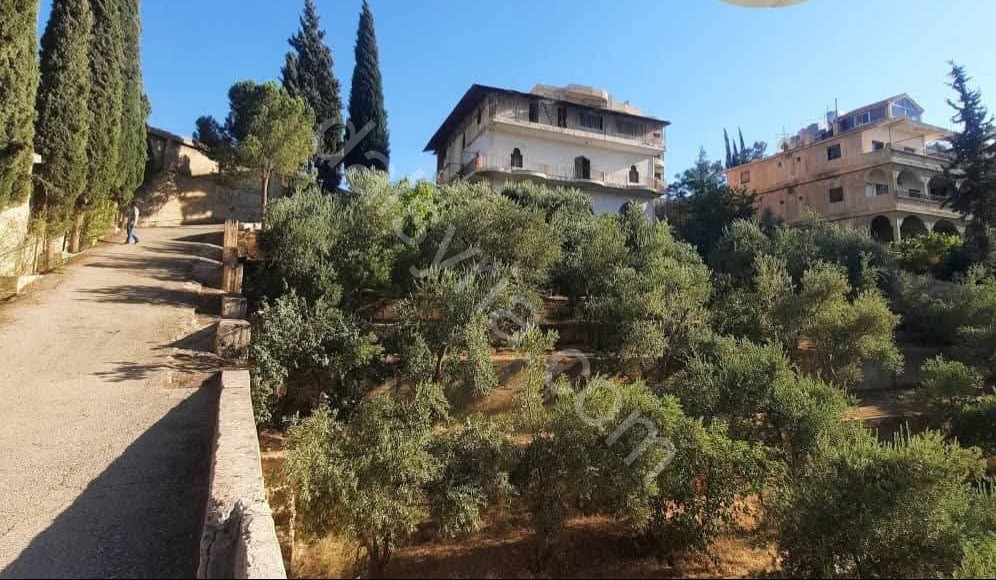 للبيع فيلا 3000 م في الهامة