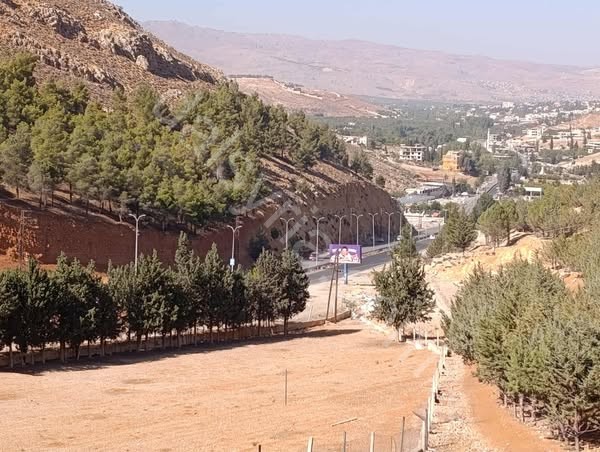 للبيع ارض 10000 م في الزبداني