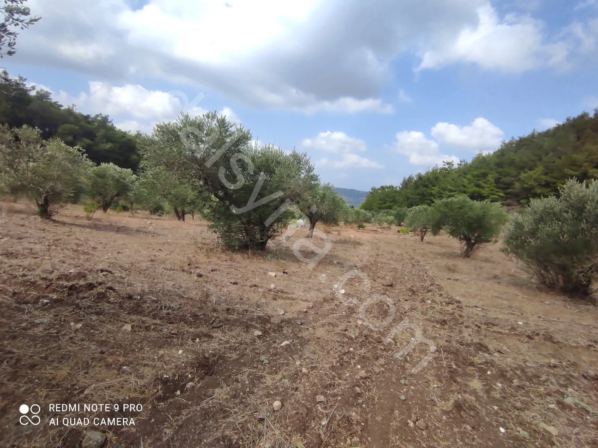 للبيع ارض 13500 م في مشقيتا 