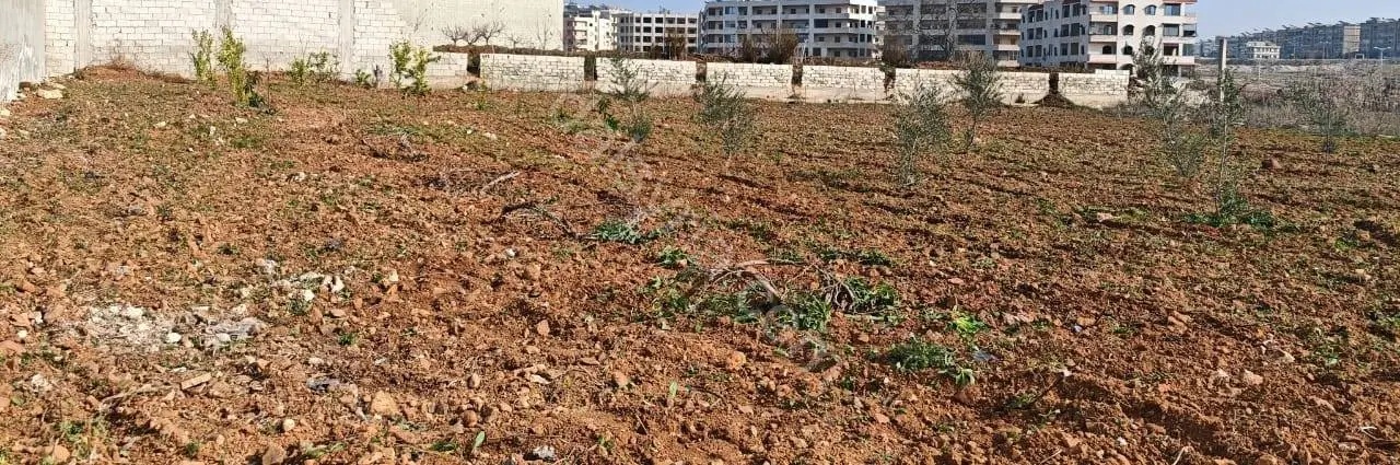 للبيع ارض 1430 في حي الضاهرية 