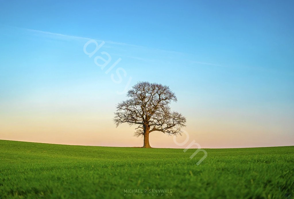 للبيع ارض 165 دونم  على طريق دمشق شنشار الدولي