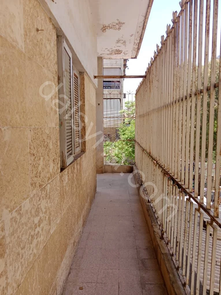 Slide 8