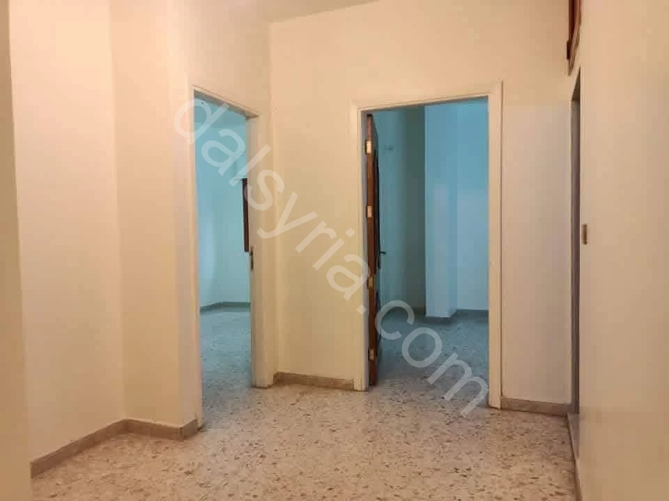 Slide 5