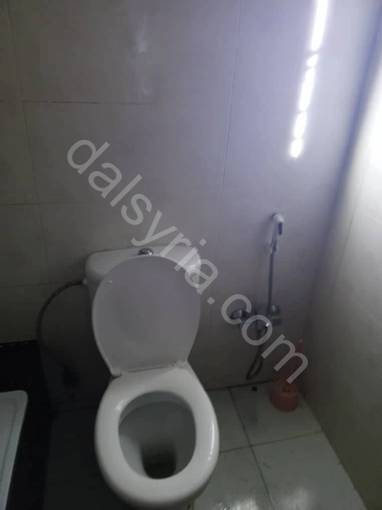 Slide 7