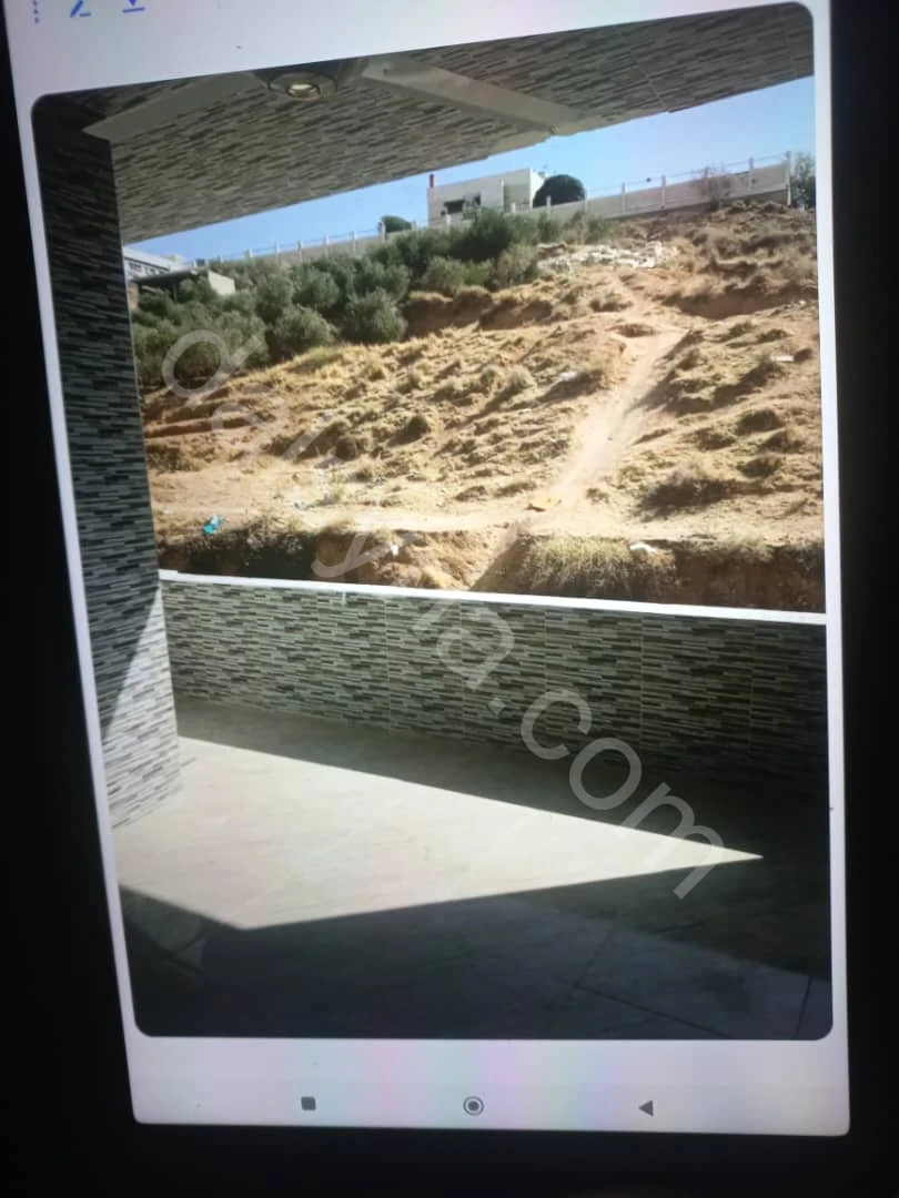 Slide 11