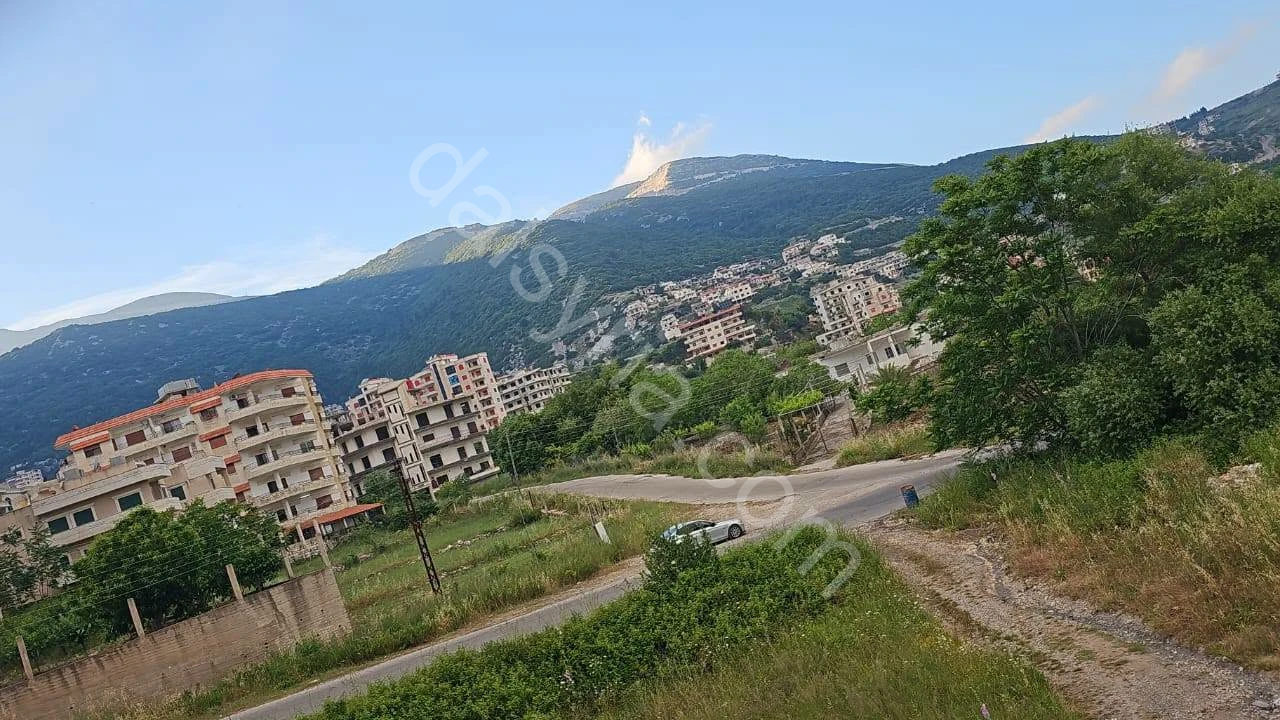 Slide 5