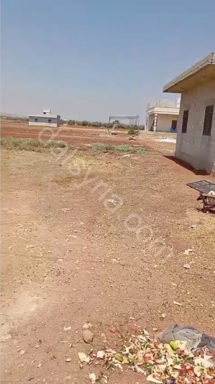 Slide 4