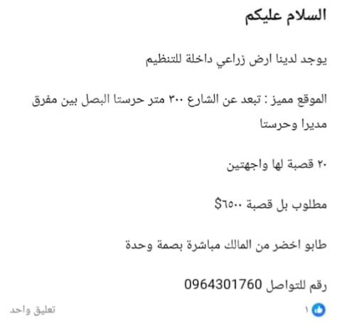 Advertisement