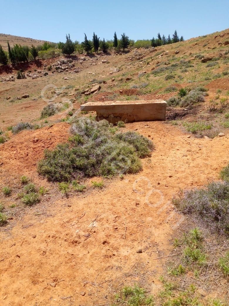 ارض مميزة للاستثمار في الزبداني منطقة الروضة