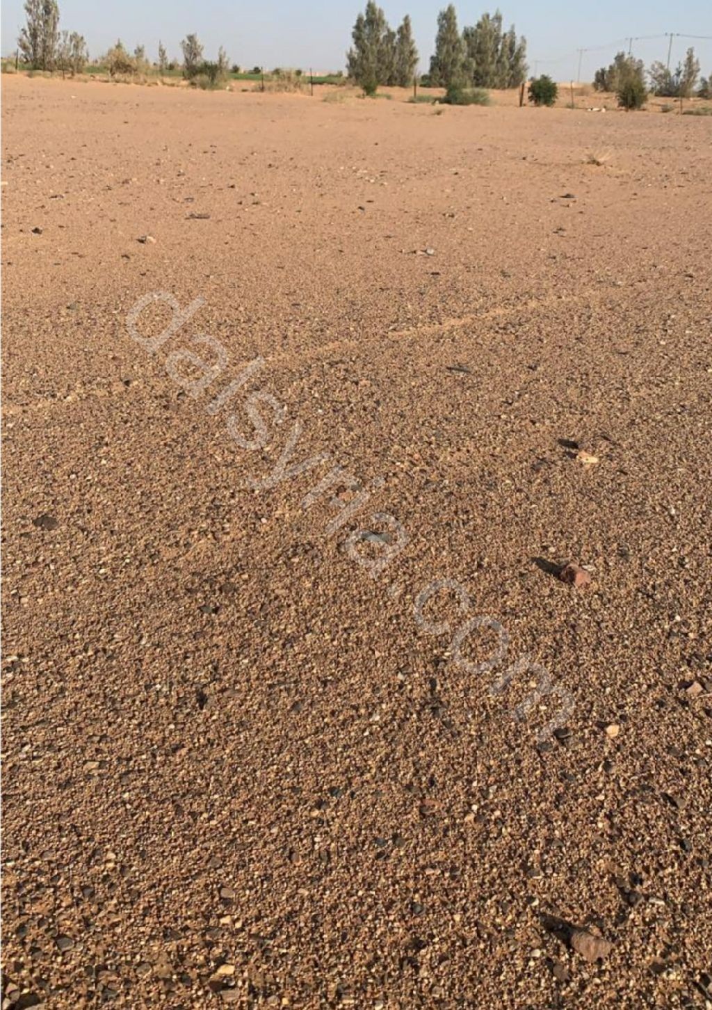 للبيع ارض 18 قصبة في داريا