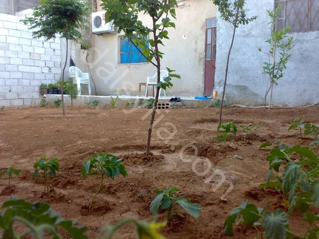 للبيع بيت عربي 205م في معضمية الشام