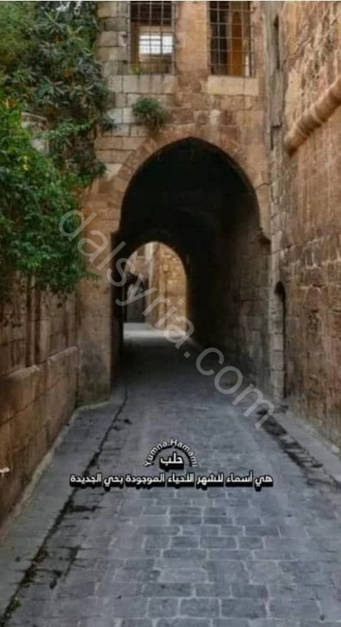 مشروع سياحي استثماري يصلح فندق أومطعم أومقر شركة