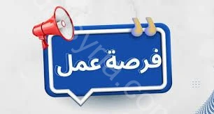 مطلوب فريلانسر: تصميم وإدارة صفحات سوشيال ميديا