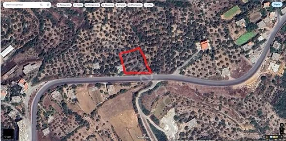 للبيع ارض 2دونم في طرطوس