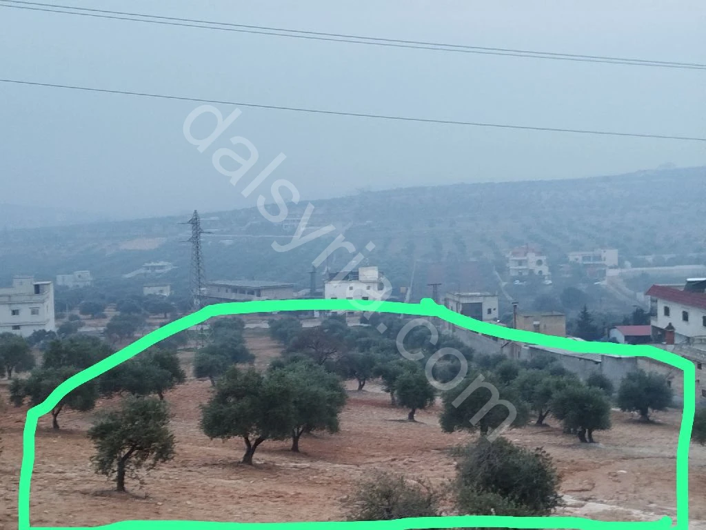 للبيع أرض 7 دونم في إدلب