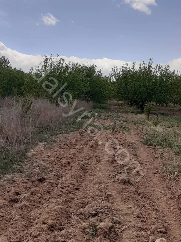 للبيع ارض 5280م في القصير