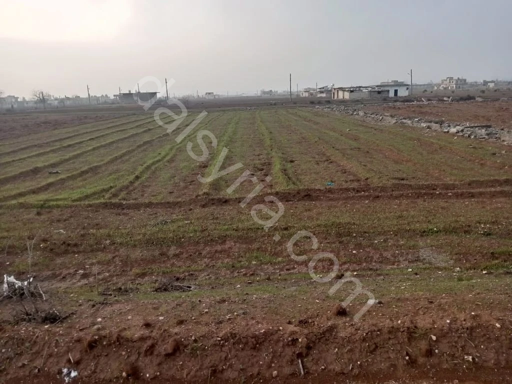 للبيع ارض 2000م في بابا عمرو