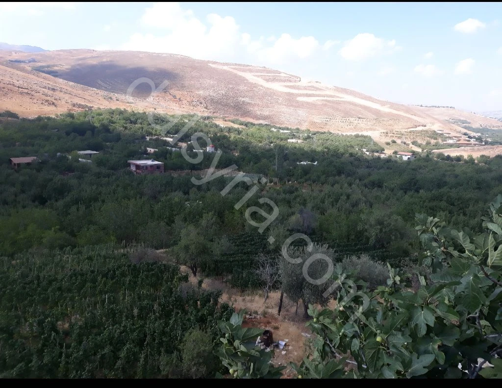 للبيع ارض 4 دونم في الزبداني