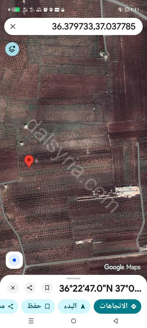 للبيع ارض زراعية 10000م في ريف حلب 