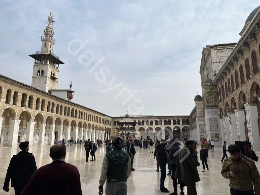 للإجار شهادة ادارة الاعمال والانشطة السياحية 