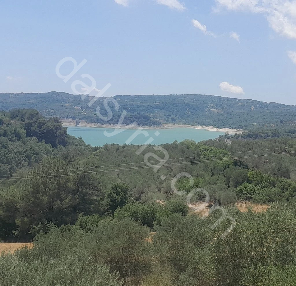 للبيع ارض 3633م في ريف اللاذقية