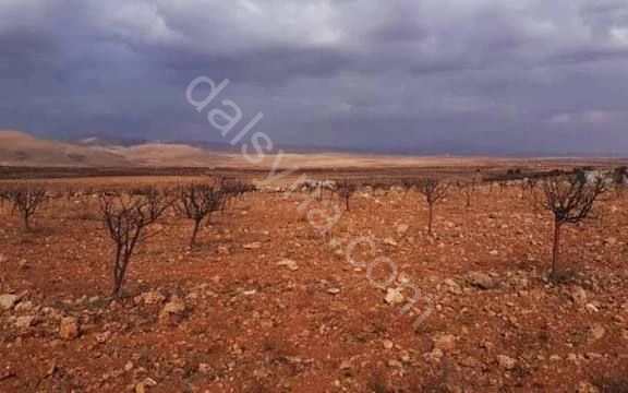 للبيع ارض 40 دونم في مزراع رنكوس