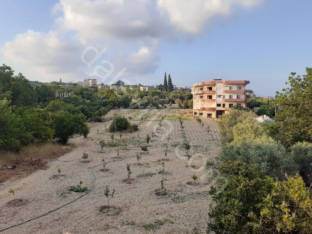 اكبر مشروع سكني في الريف الشمالي