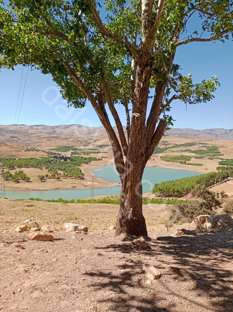 للبيع ارض 2100م في الزبداني