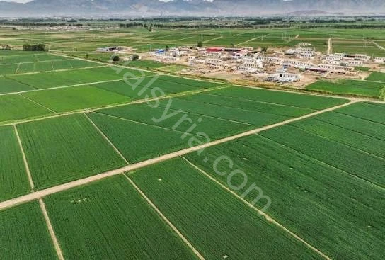 للبيع ارض 572م في المليحة