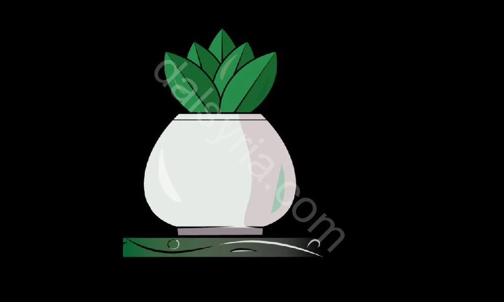 مصمم غرافيك مونتاج تصوير ابحث عن عمل