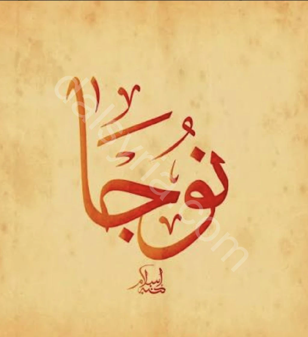 ابحث عن عمل في مجال الترجمة