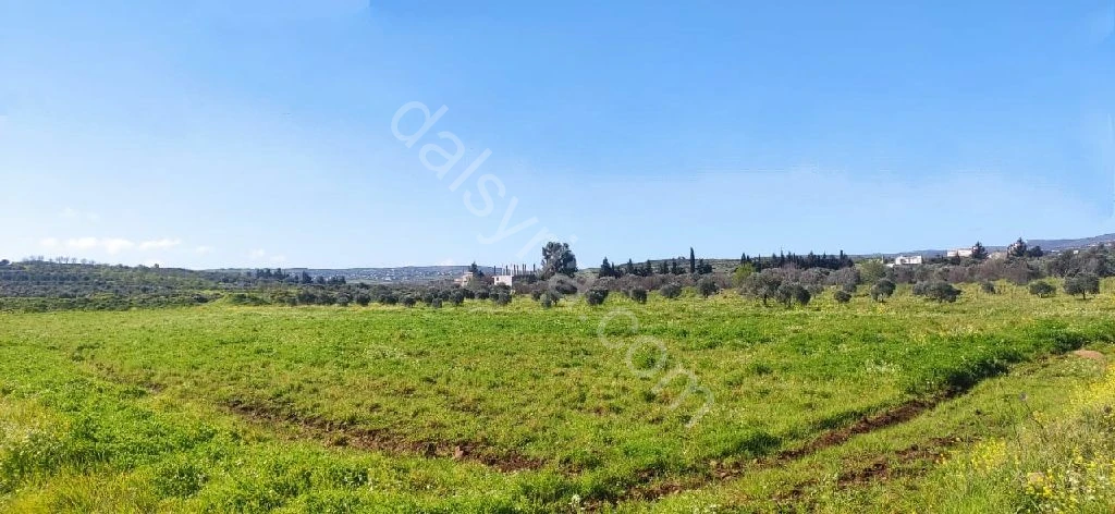 للبيع ارض 9 دونم في ريف حمص