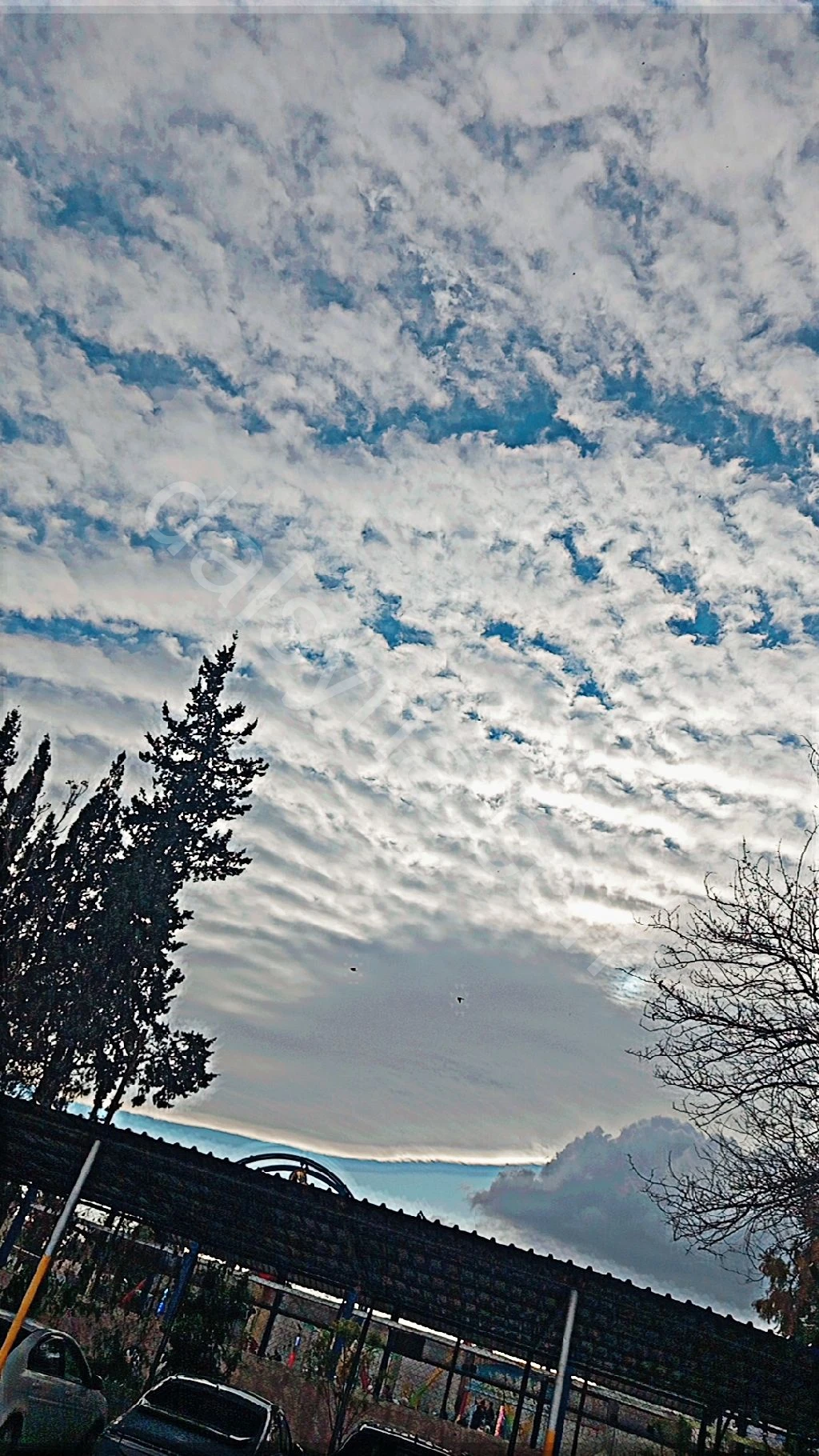 سائق خاص ابحث عن عمل 