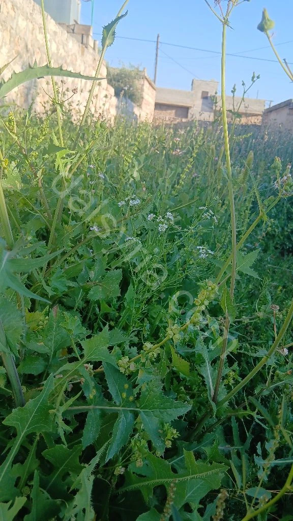 ابحث عن عمل حراسة وأمن شخصي