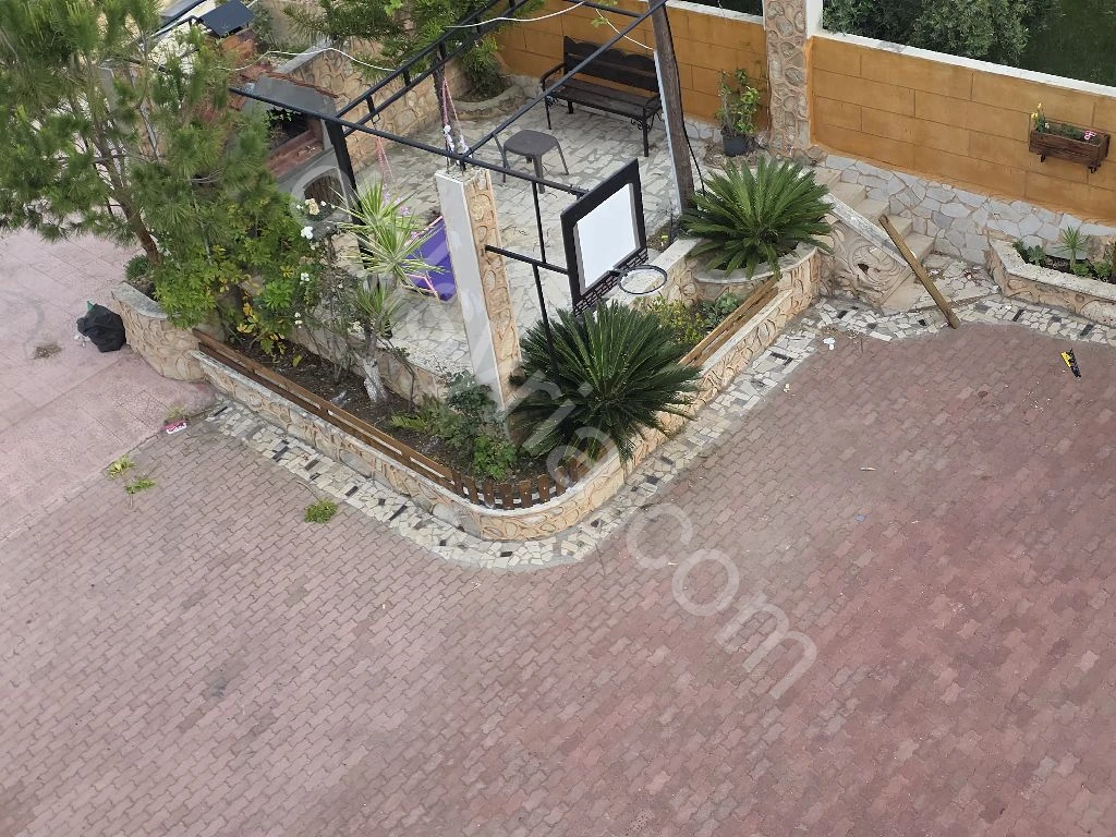 Slide 8