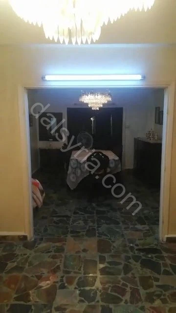 Slide 8