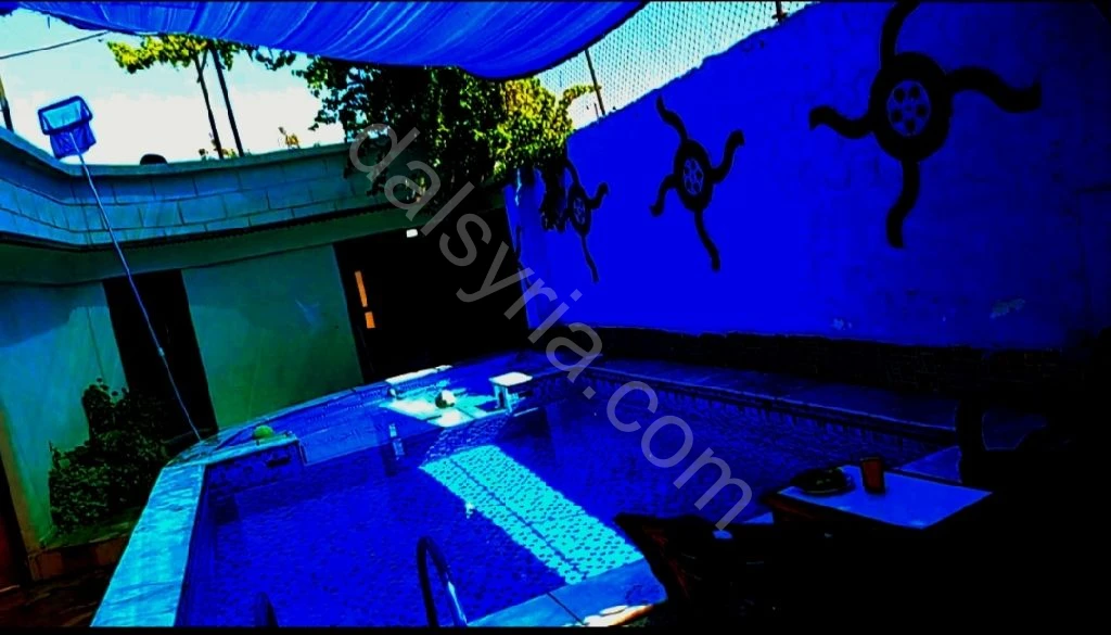 Slide 5