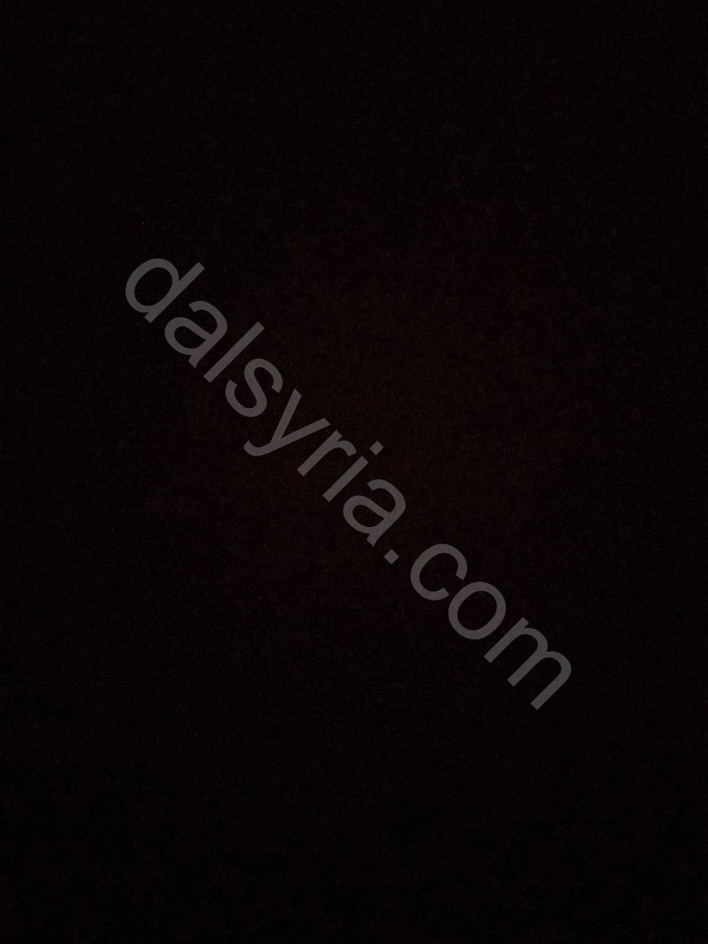 سائق ومرافق شخصي ابحث عن عمل