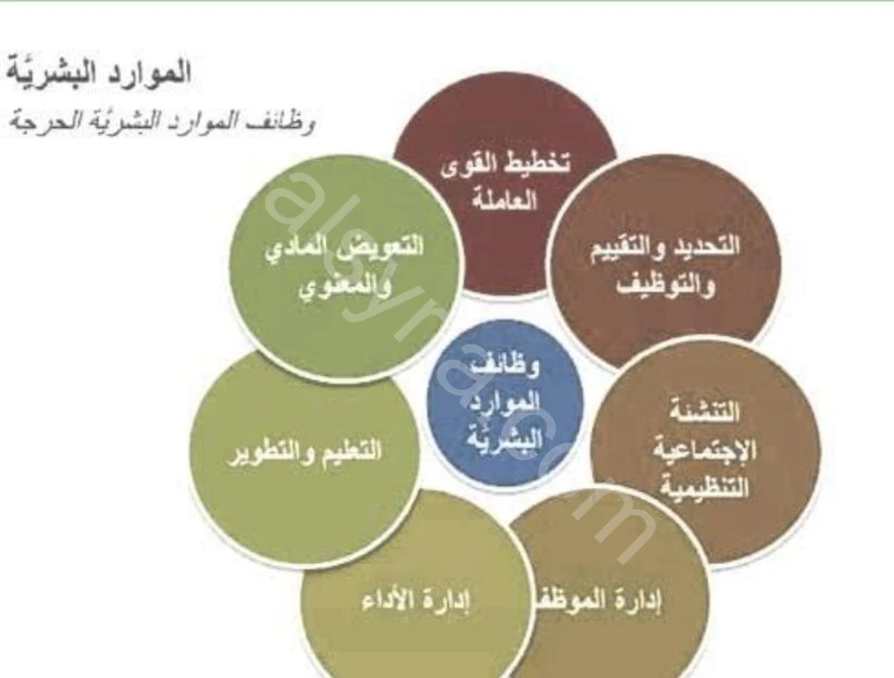 إدارة/ استشارات في الموارد البشرية