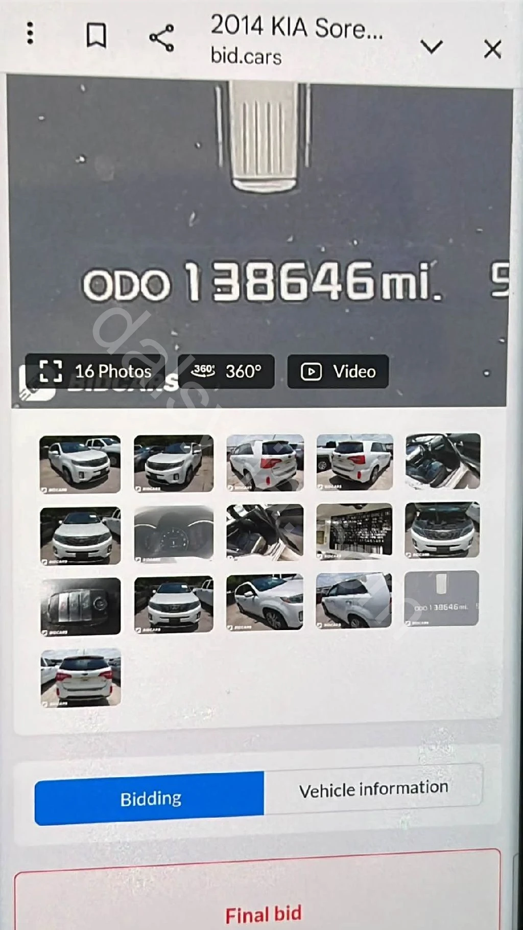 Slide 7