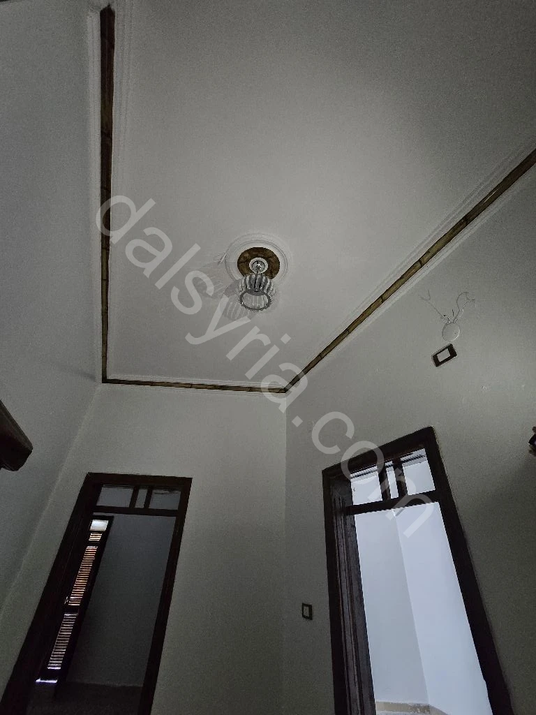 Slide 6