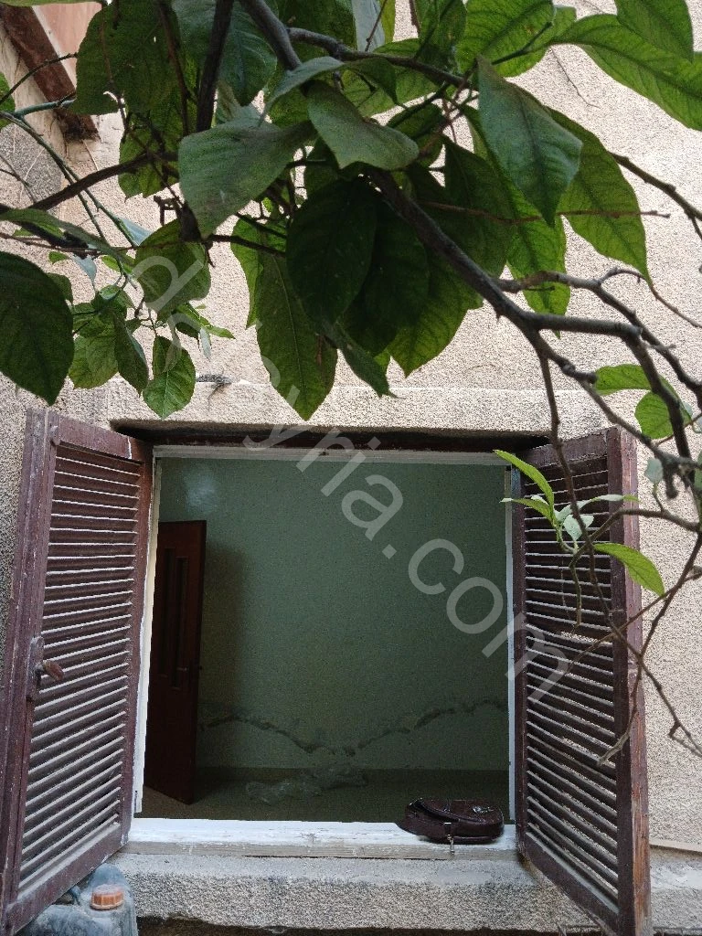 Slide 7
