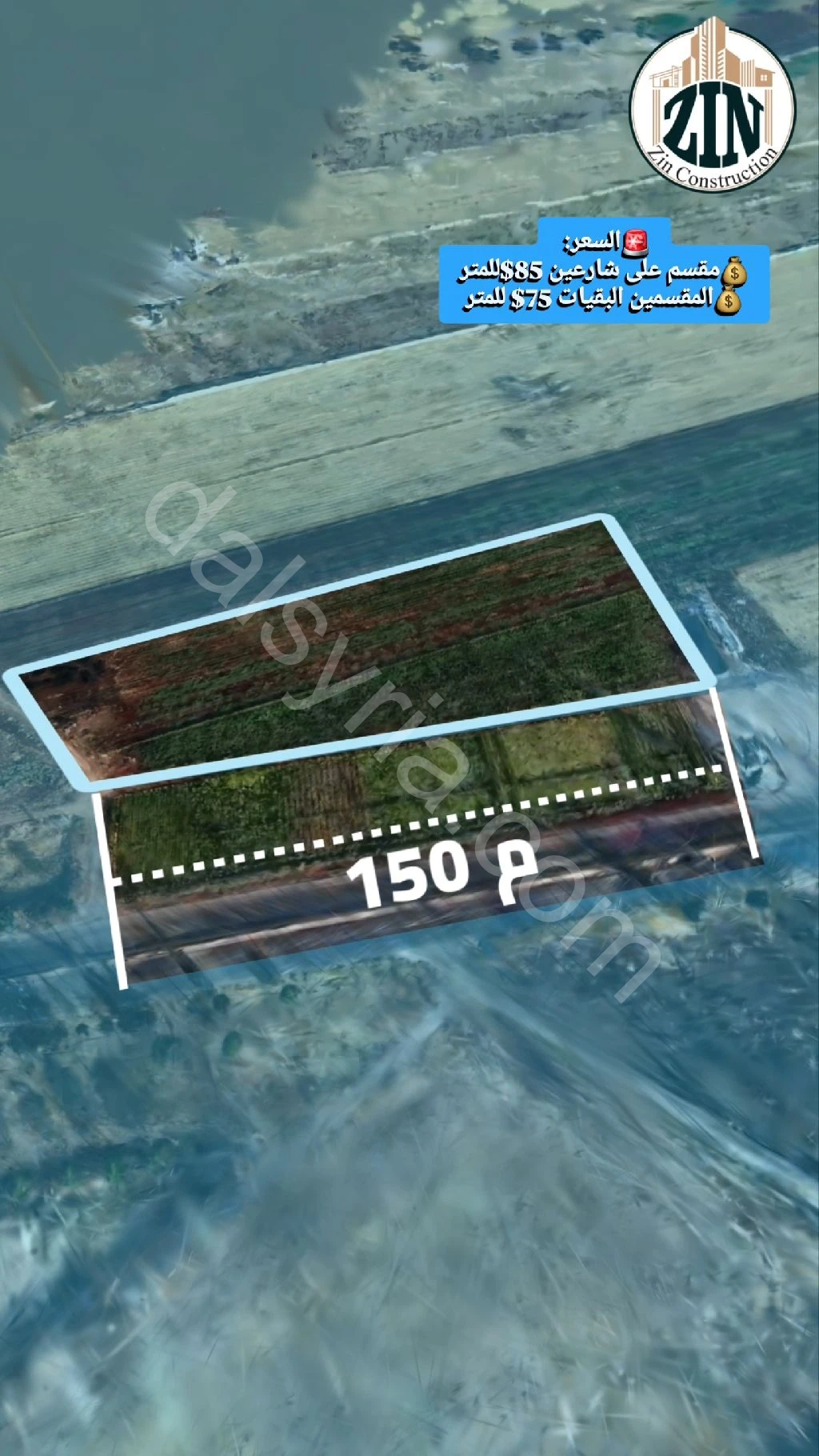 Slide 5