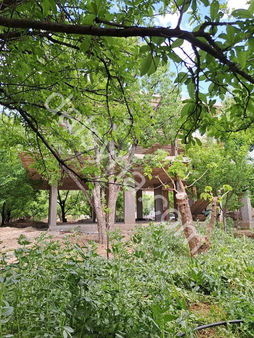 Slide 4
