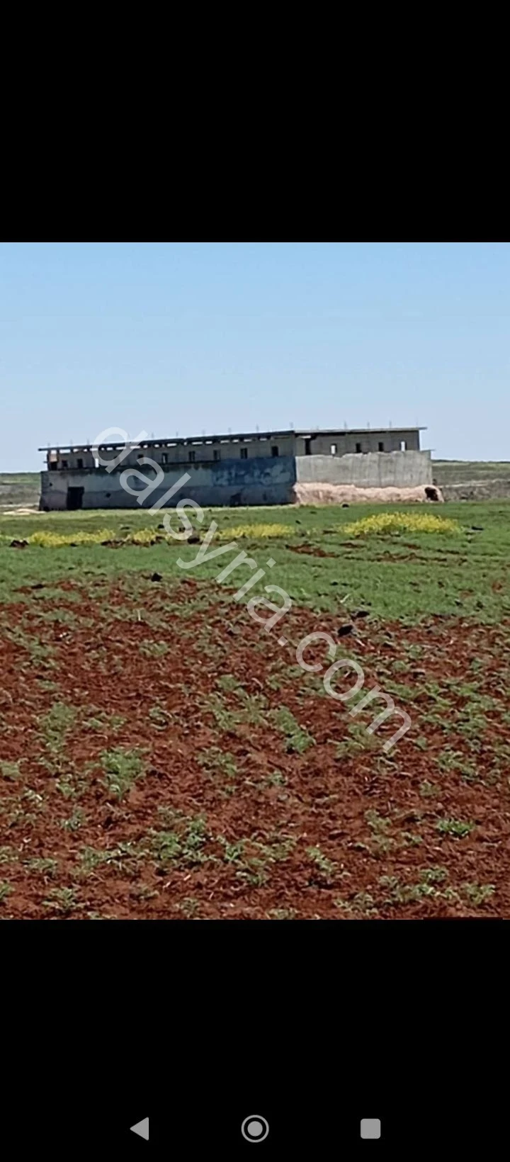 للبيع ارض 460 دونم في سعسع