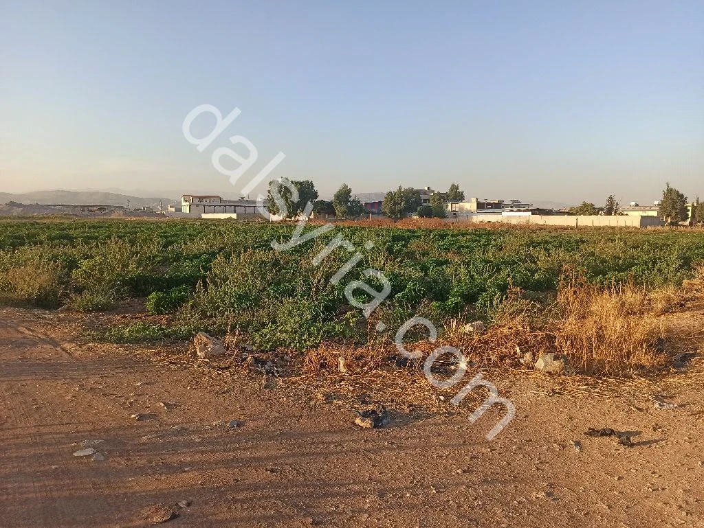 Slide 7